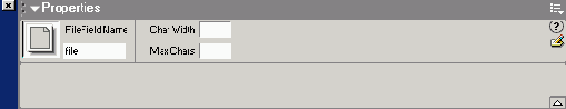  File Field  
